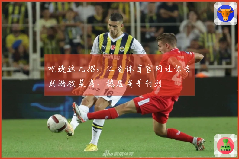 吃透这几招，江南体育官网让你告别游戏菜鸟，稳居高手行列