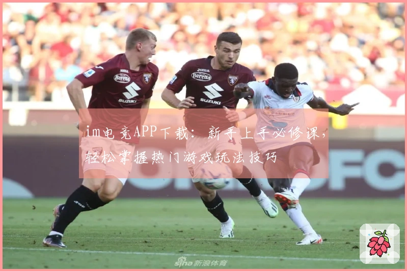 im电竞APP下载：新手上手必修课，轻松掌握热门游戏玩法技巧