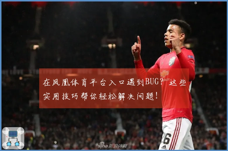 在凤凰体育平台入口遇到BUG？这些实用技巧帮你轻松解决问题！